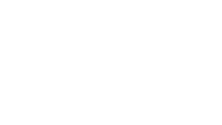 Vector